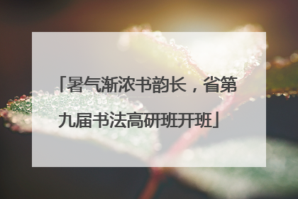 暑气渐浓书韵长，省第九届书法高研班开班