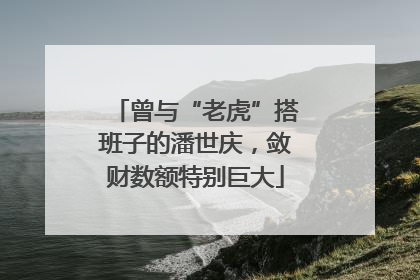 曾与“老虎”搭班子的潘世庆，敛财数额特别巨大