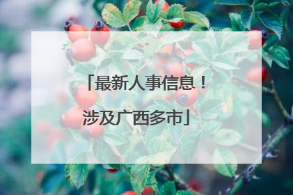 最新人事信息！涉及广西多市