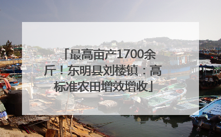 最高亩产1700余斤！东明县刘楼镇：高标准农田增效增收