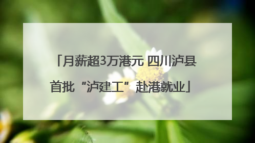 月薪超3万港元 四川泸县首批“泸建工”赴港就业