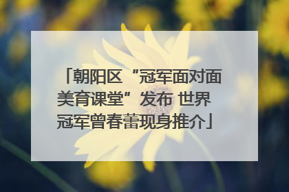 朝阳区“冠军面对面美育课堂”发布 世界冠军曾春蕾现身推介