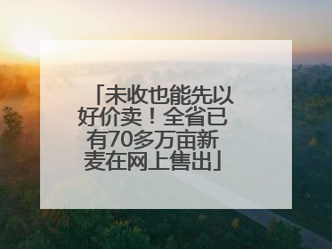 未收也能先以好价卖！全省已有70多万亩新麦在网上售出