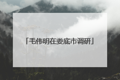 毛伟明在娄底市调研