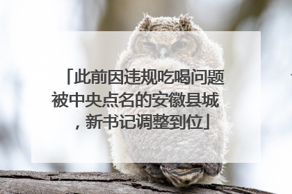 此前因违规吃喝问题被中央点名的安徽县城，新书记调整到位
