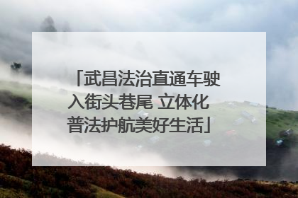 武昌法治直通车驶入街头巷尾 立体化普法护航美好生活