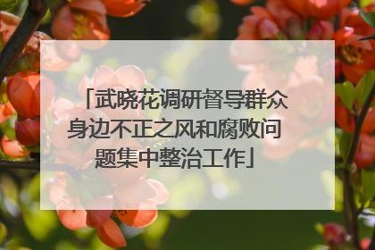 武晓花调研督导群众身边不正之风和腐败问题集中整治工作