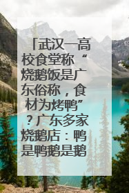 武汉一高校食堂称“烧鹅饭是广东俗称，食材为烤鸭”？广东多家烧鹅店：鸭是鸭鹅是鹅