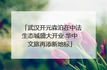 武汉开元森泊在中法生态城盛大开业 华中文旅再添新地标