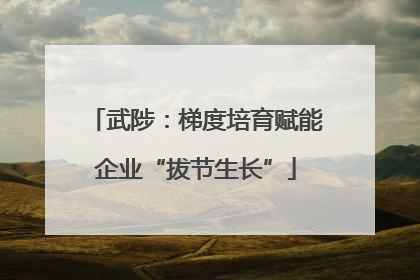 武陟：梯度培育赋能企业“拔节生长”