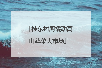 桂东村厨撬动高山蔬菜大市场