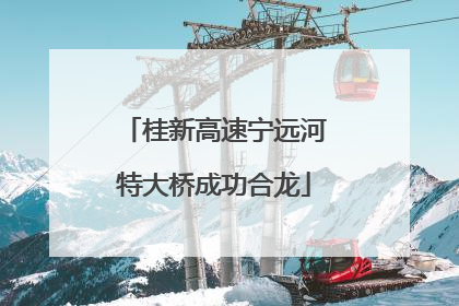 桂新高速宁远河特大桥成功合龙