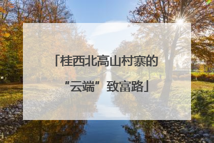 桂西北高山村寨的“云端”致富路