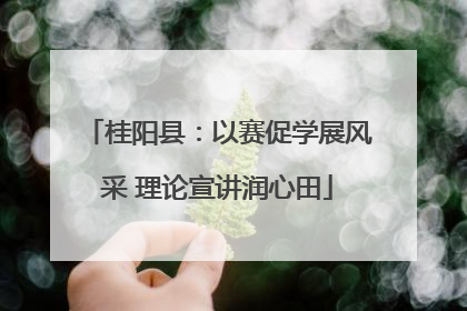 桂阳县：以赛促学展风采 理论宣讲润心田