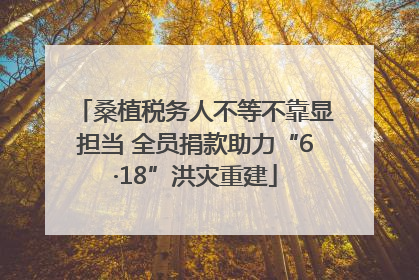 桑植税务人不等不靠显担当 全员捐款助力“6·18”洪灾重建