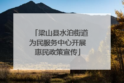 梁山县水泊街道为民服务中心开展惠民政策宣传
