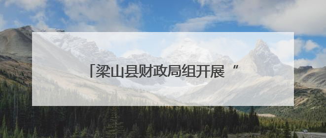梁山县财政局组开展“美好生活 民法典相伴”主题学习宣传活动