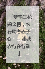 梦笔生花题金榜，农行助考赤子心——浦城农行在行动