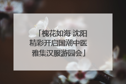 槐花如海 沈阳精彩开启国潮中医雅集汉服游园会