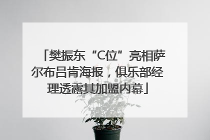 樊振东“C位”亮相萨尔布吕肯海报，俱乐部经理透露其加盟内幕