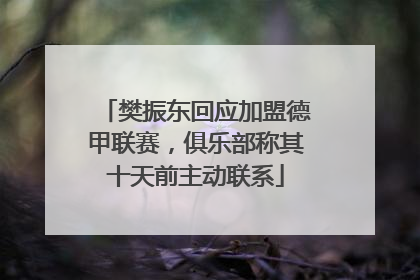樊振东回应加盟德甲联赛，俱乐部称其十天前主动联系