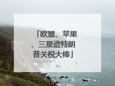 欧盟、苹果、三星遭特朗普关税大棒