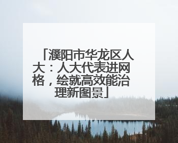 濮阳市华龙区人大：人大代表进网格，绘就高效能治理新图景