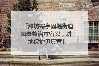潍坊寒亭固堤街道图斑整治零容忍，耕地保护见真章