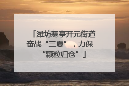 潍坊寒亭开元街道奋战“三夏”，力保“颗粒归仓”