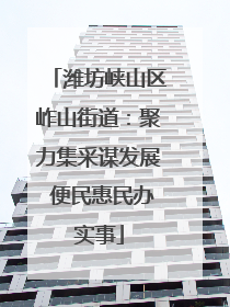 潍坊峡山区岞山街道：聚力集采谋发展 便民惠民办实事