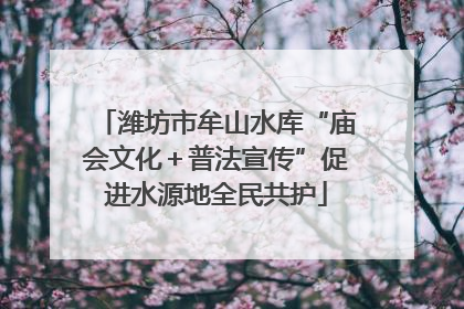 潍坊市牟山水库“庙会文化＋普法宣传”促进水源地全民共护