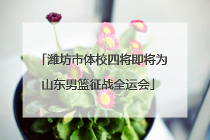 潍坊市体校四将即将为山东男篮征战全运会