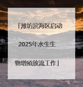 潍坊滨海区启动2025年水生生物增殖放流工作