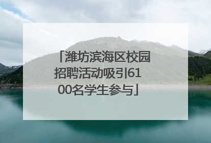 潍坊滨海区校园招聘活动吸引6100名学生参与