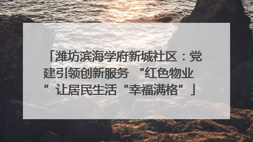 潍坊滨海学府新城社区：党建引领创新服务 “红色物业”让居民生活“幸福满格”