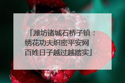 潍坊诸城石桥子镇：绣花功夫织密平安网 百姓日子越过越踏实