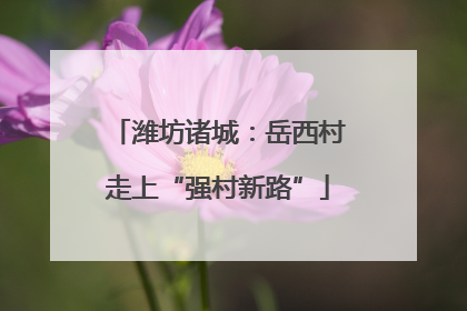 潍坊诸城：岳西村走上“强村新路”