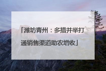 潍坊青州：多措并举打通销售渠道助农增收