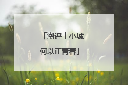 潮评丨小城何以正青春