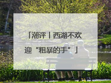 潮评丨西湖不欢迎“粗暴的手”