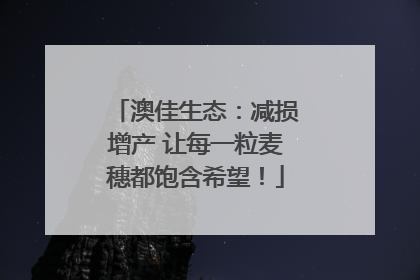 澳佳生态：减损增产 让每一粒麦穗都饱含希望！