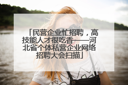 民营企业忙招聘，高技能人才很吃香——河北省个体私营企业网络招聘大会扫描