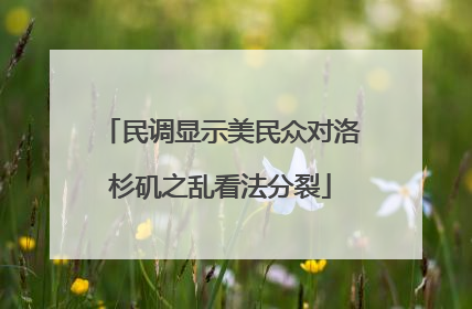 民调显示美民众对洛杉矶之乱看法分裂