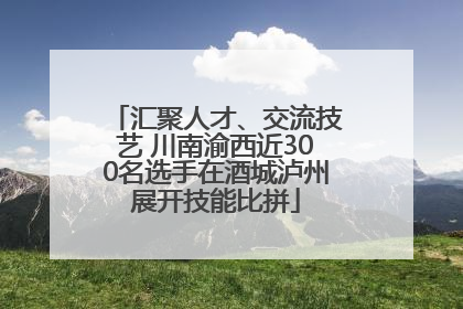 汇聚人才、交流技艺 川南渝西近300名选手在酒城泸州展开技能比拼