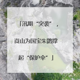 汛期“突袭”，崀山为国宝朱鹮撑起“保护伞”