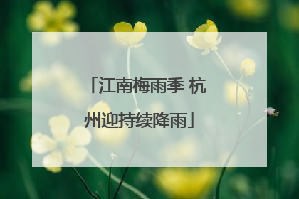 江南梅雨季 杭州迎持续降雨
