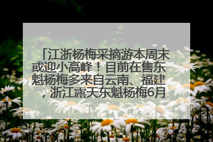 江浙杨梅采摘游本周末或迎小高峰！目前在售东魁杨梅多来自云南、福建，浙江露天东魁杨梅6月中旬大量上市
