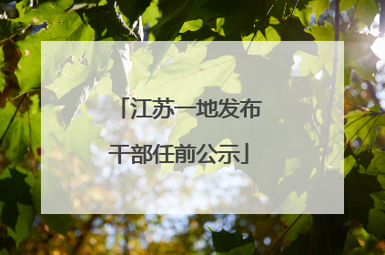 江苏一地发布干部任前公示