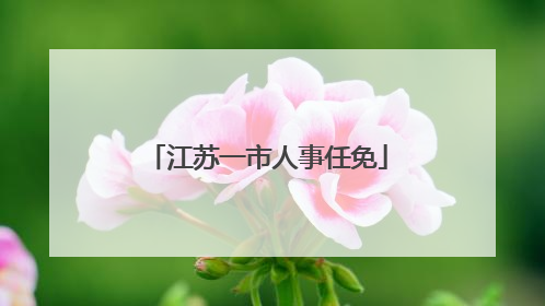 江苏一市人事任免