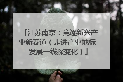 江苏南京：竞逐新兴产业新赛道（走进产业地标·发展一线探变化）